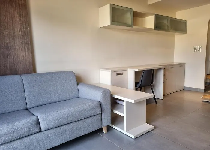 Studio Climatisee Dans Residence A 5 Minutes Des Plages A Pied