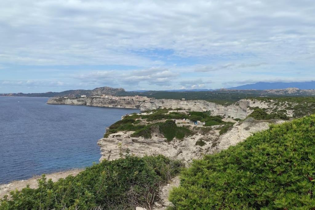 Apartment Climatisee Dans A 5 Minutes Des Plages A Pied Propriano (Corsica)