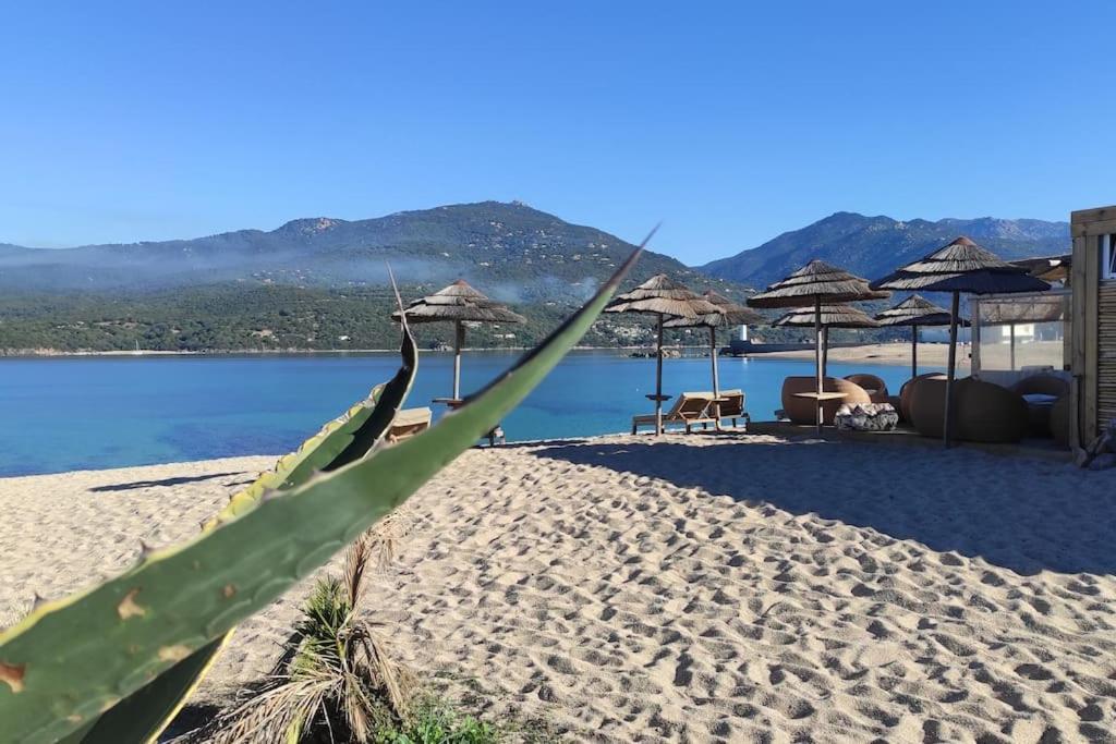 Apartment Climatisee Dans A 5 Minutes Des Plages A Pied *